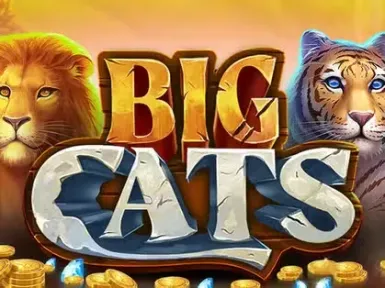 10Black Casino screenshot